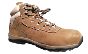 Bull_dog_co5 Bull dog co5